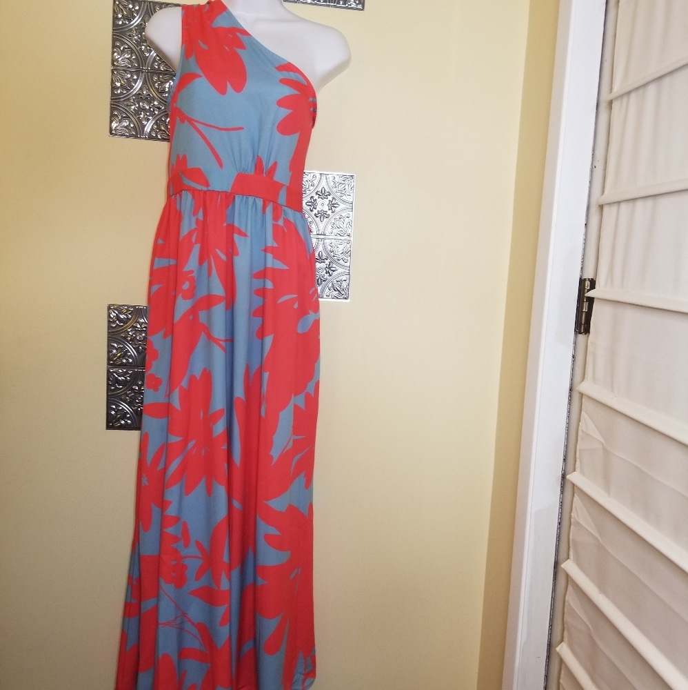 NWT Beautiful One Shoulder Dress Sz M